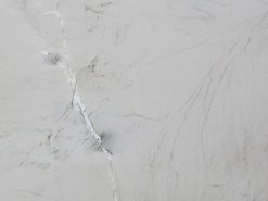 Calacatta Boheme Quartzite