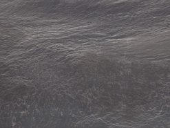Cinder Black Quartzite