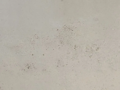 Pietra Bicci Travertine
